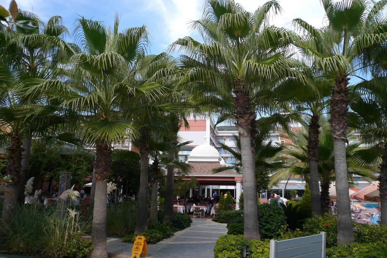 Insula Resort & Spa Alanya Exterior photo